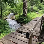 Boruvka Železná Ruda