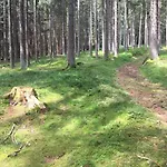 Boruvka * Železná Ruda