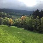 Boruvka Železná Ruda