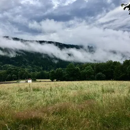Boruvka דירה Železná Ruda