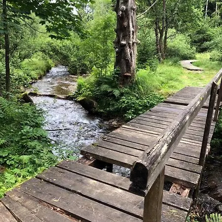 Boruvka Železná Ruda