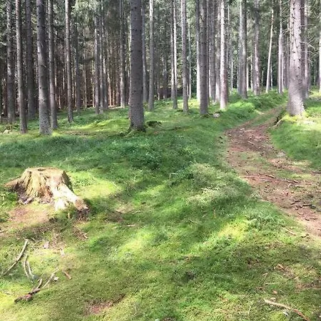 Boruvka * Železná Ruda