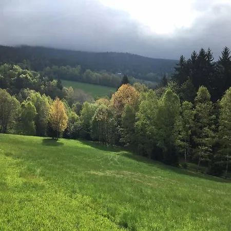 Boruvka Železná Ruda