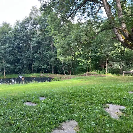 Boruvka * Železná Ruda