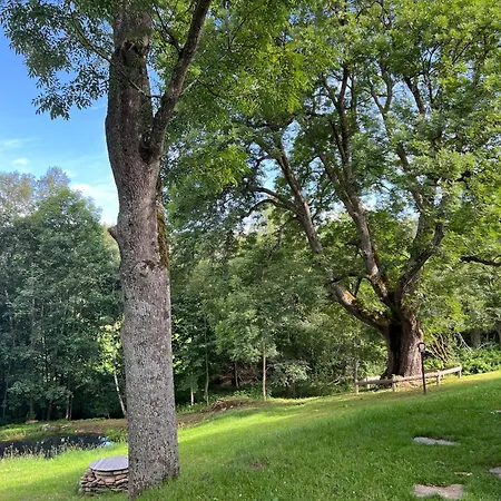 Апартаменты Boruvka