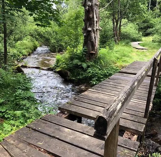 Boruvka Železná Ruda