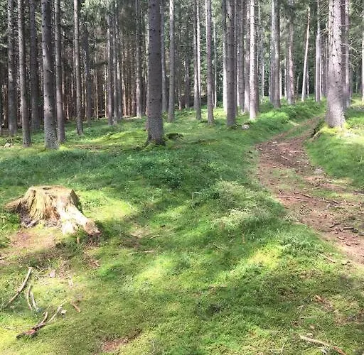 Boruvka * Železná Ruda