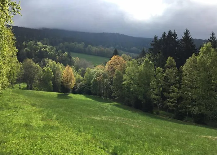 Boruvka Železná Ruda
