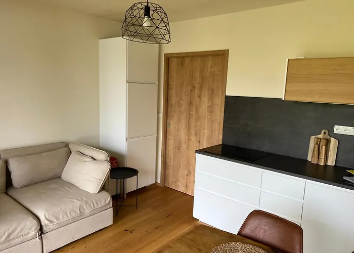 Boruvka Apartment *